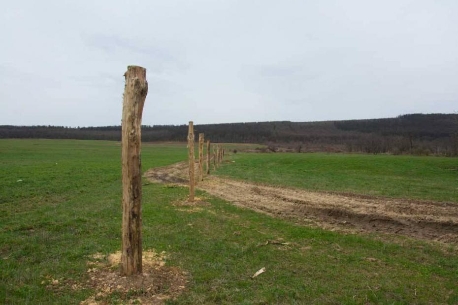 Füves legelő körbekerítése