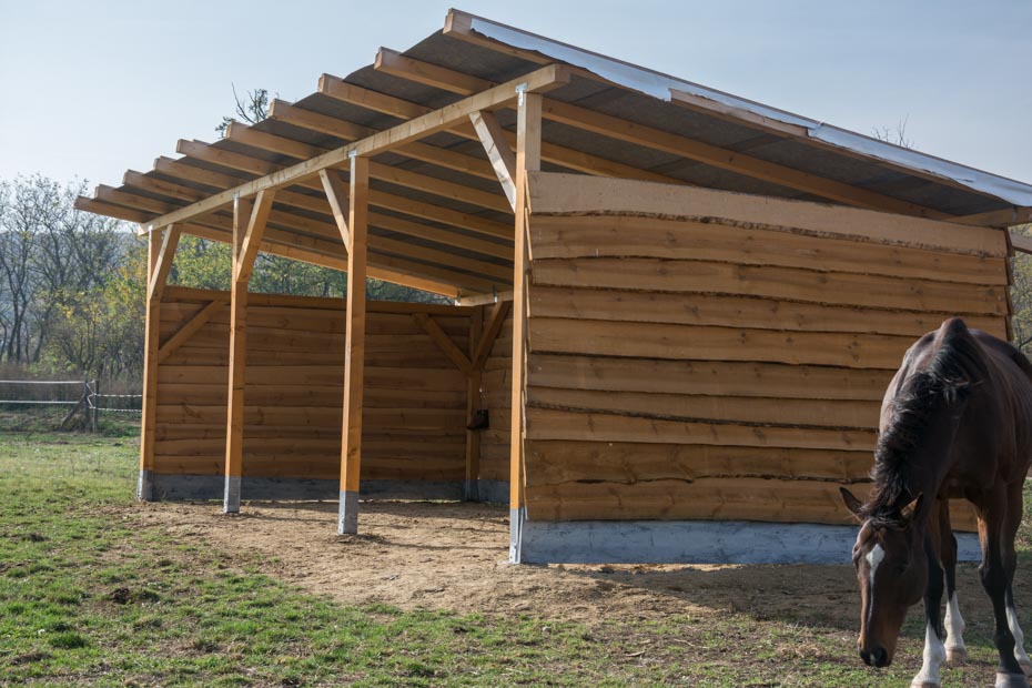 Painting of the horse shelter