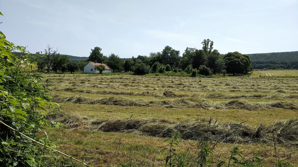 Általunk termelt 1. osztályú széna