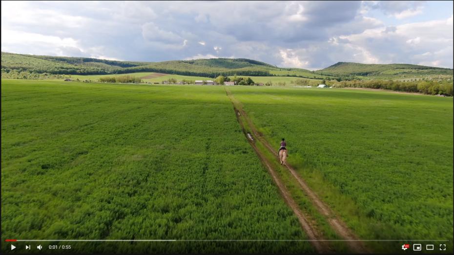 Bemutatkozó videókép a Hosszúréti Lovas Majorról