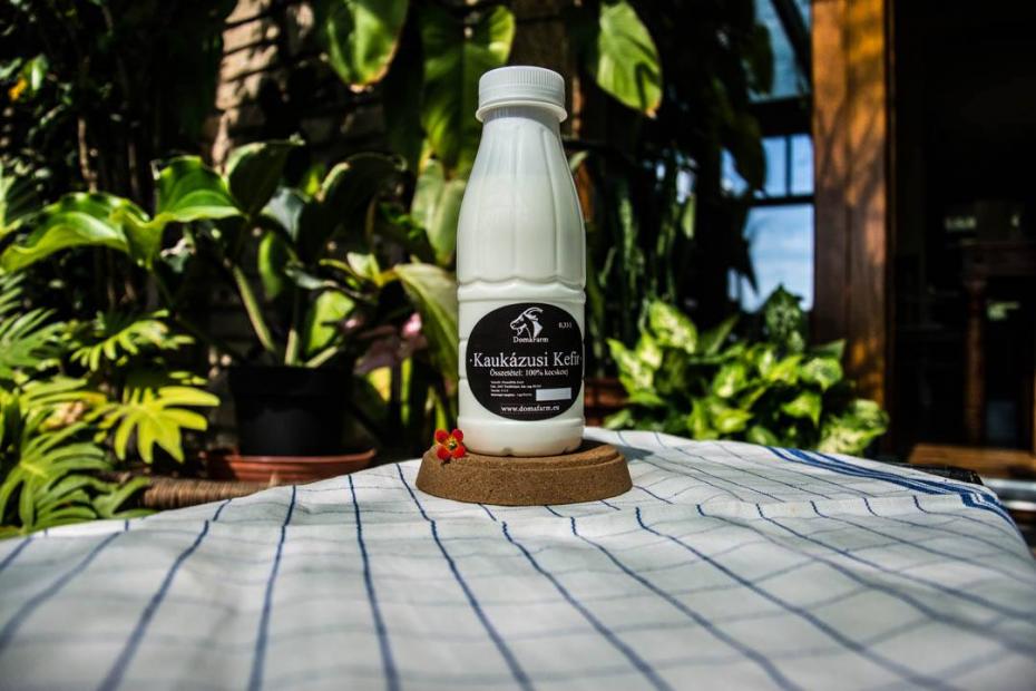 Kaukázusi kefir Kaukázusi kefir