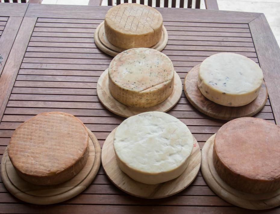 Oregánós kézműves kecskesajt Oregánós kézműves kecskesajt